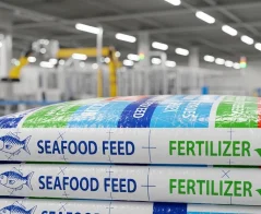 Bao PP Dệt: Giải Pháp Đóng Gói Siêu Bền Chắc, Tiết Kiệm Chi Phí